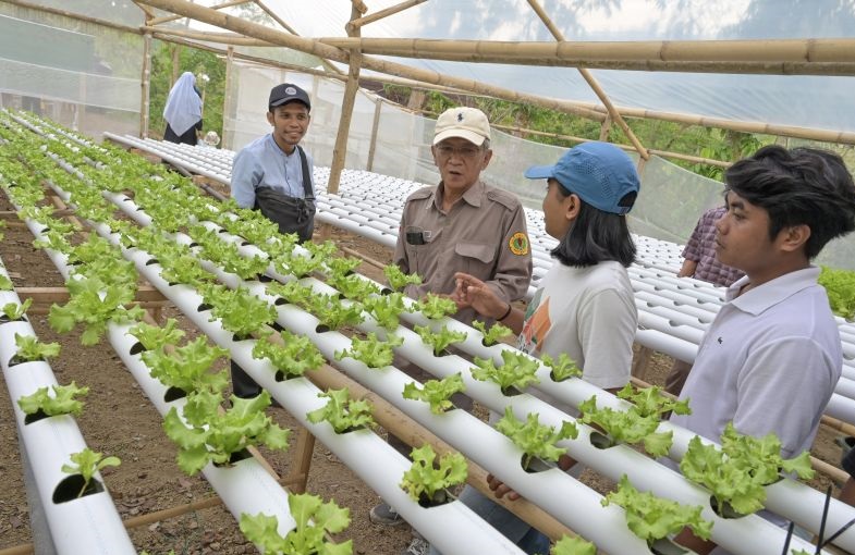 Kemenaker paparkan strategi pengembangan tenaga kerja industri pangan Kemenaker paparkan strategi pengembangan tenaga kerja industri pangan