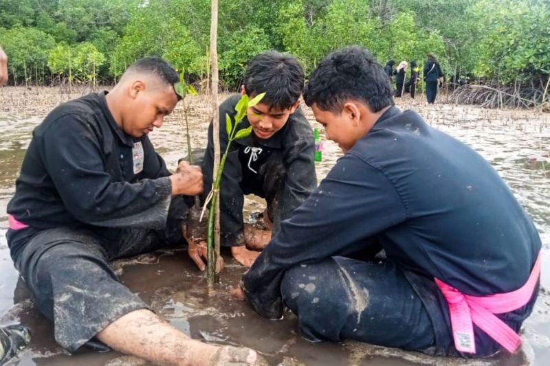 PSHT Natuna tanam 1.500 bibit mangrove PSHT Natuna tanam 1.500 bibit mangrove