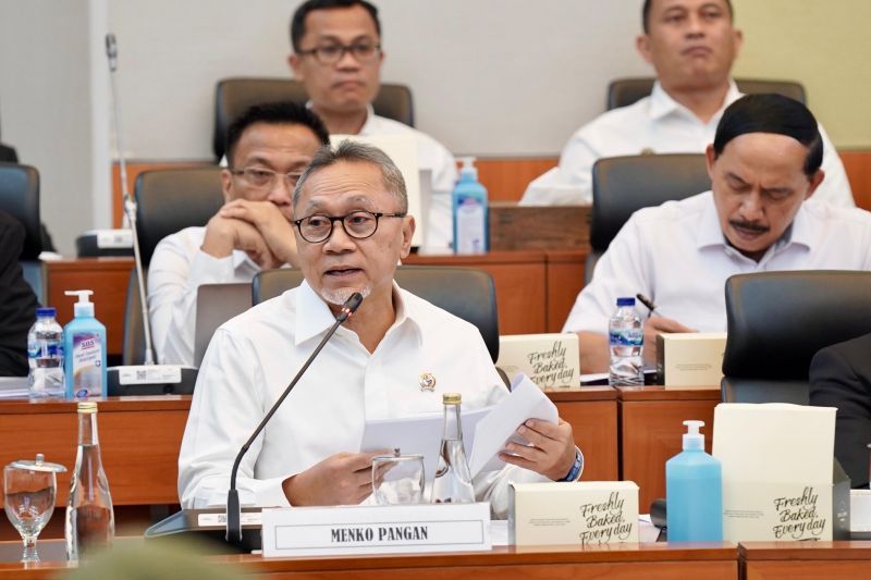 Menko Zulkifli minta tambahan anggaran untuk kejar swasembada pangan Menko Zulkifli minta tambahan anggaran untuk kejar swasembada pangan