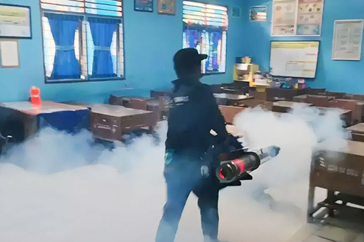 Dinkes anjurkan warga OKU Timur pelihara ikan cupang cegah DBD Dinkes anjurkan warga OKU Timur pelihara ikan cupang cegah DBD