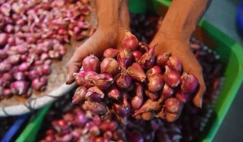 Harga pangan Kamis, bawang merah Rp38.050/kg, telur ayam Rp32.380/kg Harga pangan Kamis, bawang merah Rp38.050/kg, telur ayam Rp32.380/kg