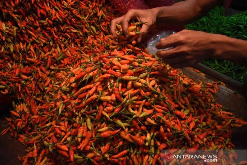 Harga cabai rawit merah menjadi Rp50.620/kg pada hari Natal Harga cabai rawit merah menjadi Rp50.620/kg pada hari Natal