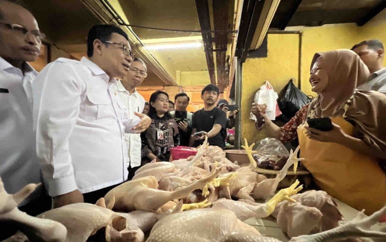 Harga pangan pada Rabu, daging ayam naik jadi Rp36.710 per kg Harga pangan pada Rabu, daging ayam naik jadi Rp36.710 per kg
