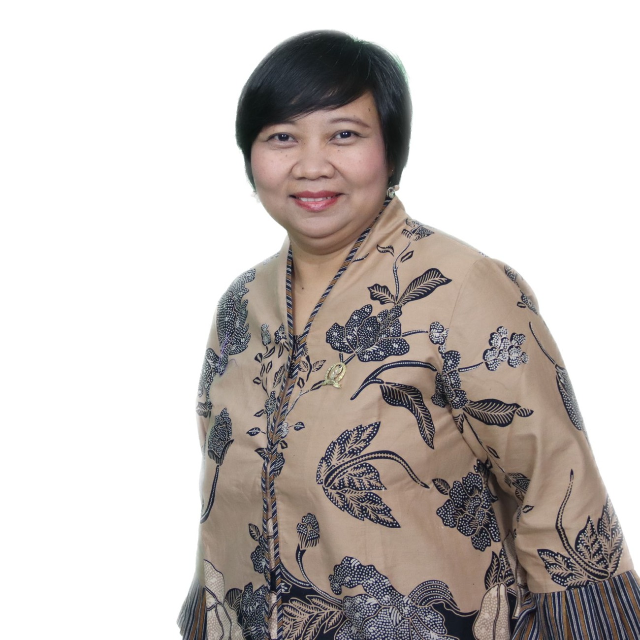 Komnas HAM dorong pemerintah susun kembali kebijakan PSN