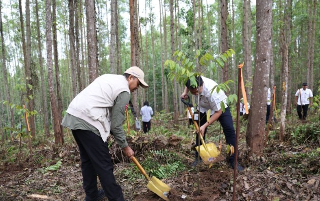 OIKN tanam 600 bibit pohon di Miniatur Hutan Hujan Tropis Nusantara OIKN tanam 600 bibit pohon di Miniatur Hutan Hujan Tropis Nusantara