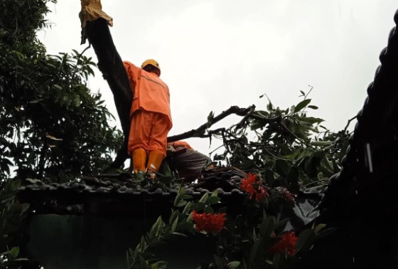 Puluhan rumah di Jepara rusak diterjang angin puting beliung Puluhan rumah di Jepara rusak diterjang angin puting beliung