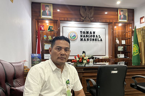 Balai TN Manusela: Pendaki Gunung Binaiya capai 41 orang di akhir 2024