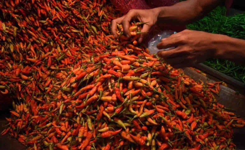 Harga pangan di Senin, cabai rawit naik Rp3.940 menjadi 41.930 per kg