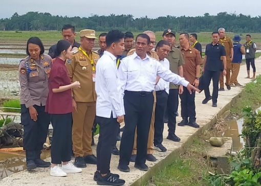 Gibran Rakabuming hadiri gerakan percepatan tanam padi di Langkat Gibran Rakabuming hadiri gerakan percepatan tanam padi di Langkat
