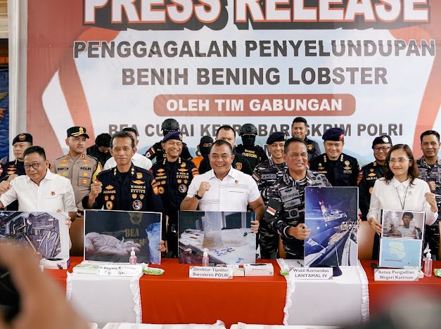 Penyelundupan 151 ribu benih lobster di Bintan digagalkan Penyelundupan 151 ribu benih lobster di Bintan digagalkan