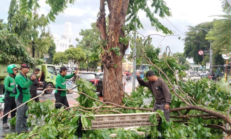 11.864 pohon di Jakpus dipangkas antisipasi tumbang saat hujan 11.864 pohon di Jakpus dipangkas antisipasi tumbang saat hujan