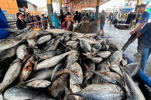 Harga pangan Senin, ikan tongkol Rp32.050/kg, daging ayam Rp38.120/kg Harga pangan Senin, ikan tongkol Rp32.050/kg, daging ayam Rp38.120/kg