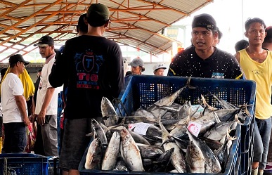 KKP jamin ketersediaan dan mutu ikan untuk natal-tahun baru KKP jamin ketersediaan dan mutu ikan untuk natal-tahun baru