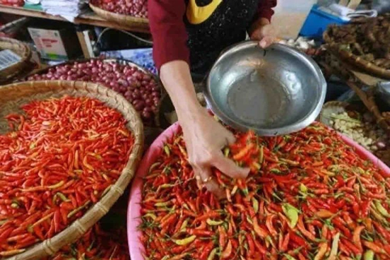 Harga cabai rawit naik Rp10.840 jadi Rp51.090 per kg pada Senin Harga cabai rawit naik Rp10.840 jadi Rp51.090 per kg pada Senin