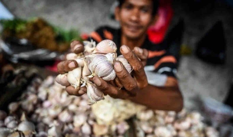 Harga pangan pada Selasa, bawang putih naik jadi 41.730 per kg Harga pangan pada Selasa, bawang putih naik jadi 41.730 per kg