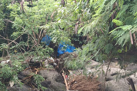 Gajah Bali Zoo ditemukan mati akibat terseret arus sungai Gajah Bali Zoo ditemukan mati akibat terseret arus sungai