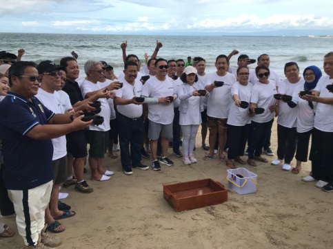 Peserta Rakernas Peradi lepaskan puluhan tukik di Pantai Jimbaran 