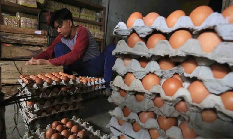 Harga telur ayam ras pada kamis naik menjadi Rp28.370 per kg Harga telur ayam ras pada kamis naik menjadi Rp28.370 per kg