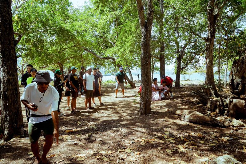 Pemerintah pastikan keamanan Taman Nasional Komodo selama liburan Pemerintah pastikan keamanan Taman Nasional Komodo selama liburan