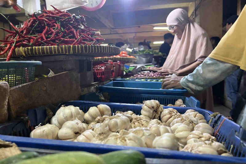 Harga bawang putih naik dari Rp1.300 jadi Rp43.200 per kg Harga bawang putih naik dari Rp1.300 jadi Rp43.200 per kg