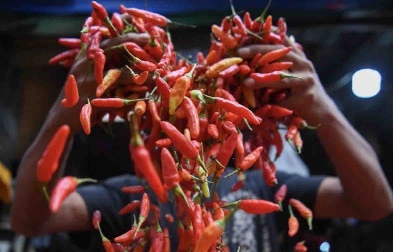 Harga pangan Minggu, cabai rawit Rp55.480/kg, bawang putih Rp42.610/kg Harga pangan Minggu, cabai rawit Rp55.480/kg, bawang putih Rp42.610/kg