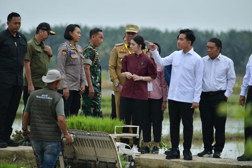 Wapres tinjau penggunaan Rice Transplanter di Langkat