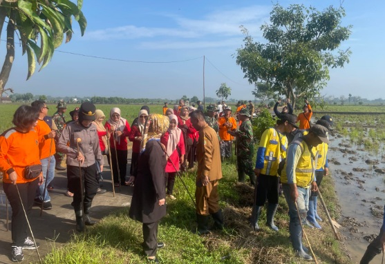 Sebanyak 9 desa di Kecamatan Polokarto dan Mojolaban diserang hama tikus Sebanyak 9 desa di Kecamatan Polokarto dan Mojolaban diserang hama tikus