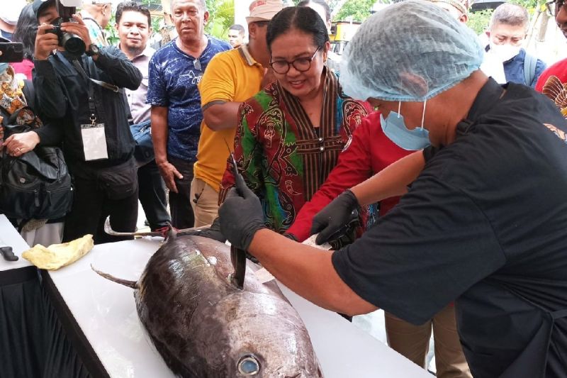Nelayan OAP suplai ikan tuna menu makan bergizi anak sekolah Nelayan OAP suplai ikan tuna menu makan bergizi anak sekolah