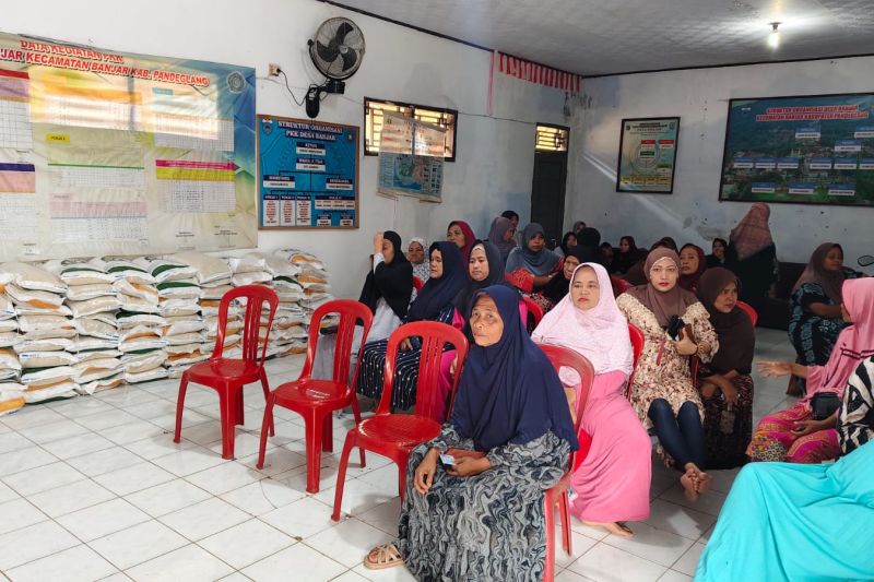 Perum Bulog Lebak - Pandeglang salurkan 1.750 ton beras untuk KPM Perum Bulog Lebak - Pandeglang salurkan 1.750 ton beras untuk KPM