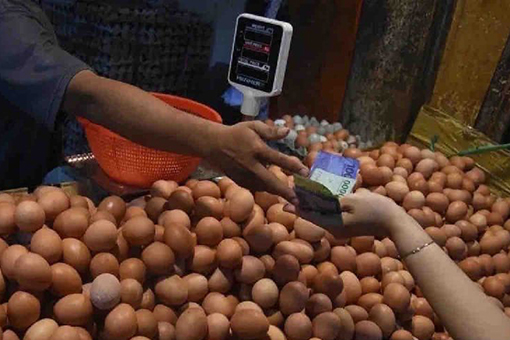 Harga telur ayam jadi Rp31.690 per kg pada Selasa Harga telur ayam jadi Rp31.690 per kg pada Selasa