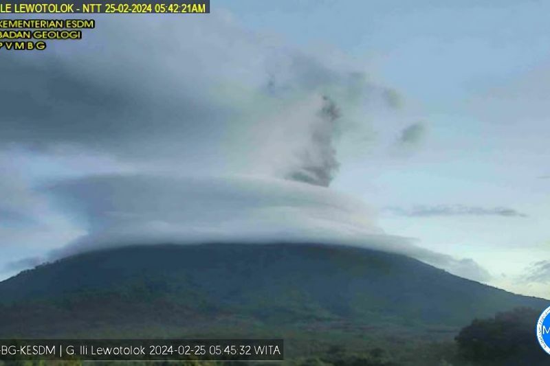 Abu vulkanik setinggi 1 kilometer keluar dari Gunung Ili Lewotolok Abu vulkanik setinggi 1 kilometer keluar dari Gunung Ili Lewotolok