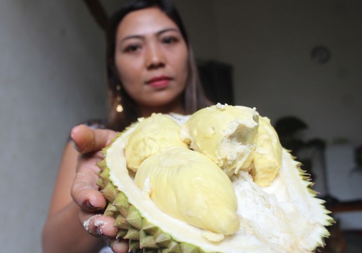 Ahli gizi ungkap soal mitos durian tinggi kolesterol