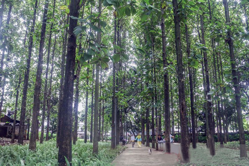 Pemprov DKI bangun sepuluh taman di tiga wilayah selama 2024