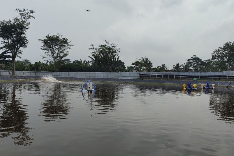DKP Lampung sebut bantuan 1,3 juta ekor benih ikan tersalurkan di 2023 DKP Lampung sebut bantuan 1,3 juta ekor benih ikan tersalurkan di 2023