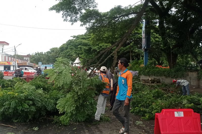 Lima daerah di Banten hujan lebat disertai angin kencang