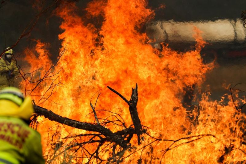 Suhu panas meningkat, Australia berjibaku dengan kebakaran di berbagai tempat Suhu panas meningkat, Australia berjibaku dengan kebakaran di berbagai tempat