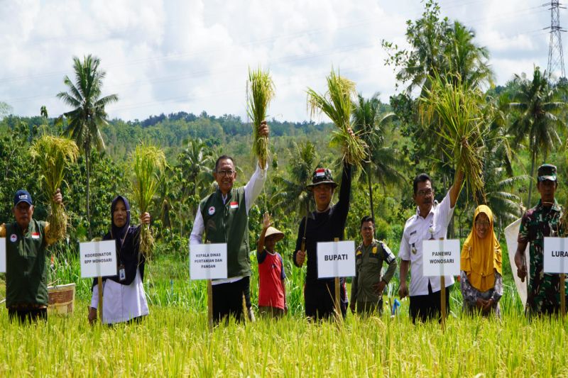 Petani Karangtengah Gunungkidul panen padi seluas 20 hektare Petani Karangtengah Gunungkidul panen padi seluas 20 hektare