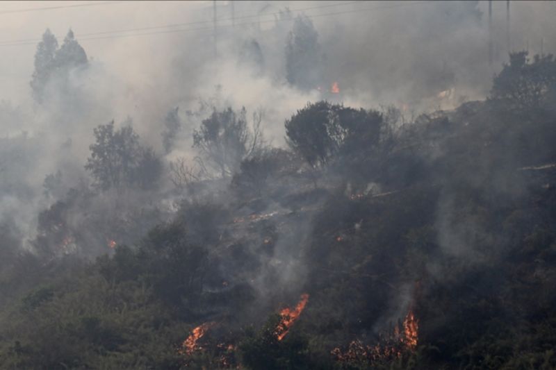 Korban tewas kebakaran hutan di Chile jadi 51 orang Korban tewas kebakaran hutan di Chile jadi 51 orang