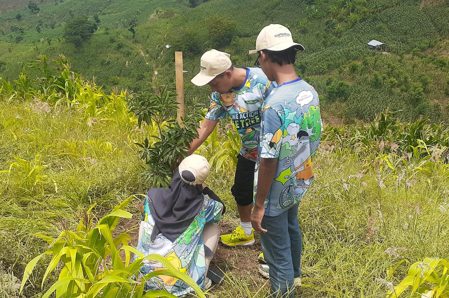 Hijaukan perbukitan Patiayam, Kelompok tani Wonorejo, Kudus panen mangga 4 ton Hijaukan perbukitan Patiayam, Kelompok tani Wonorejo, Kudus panen mangga 4 ton