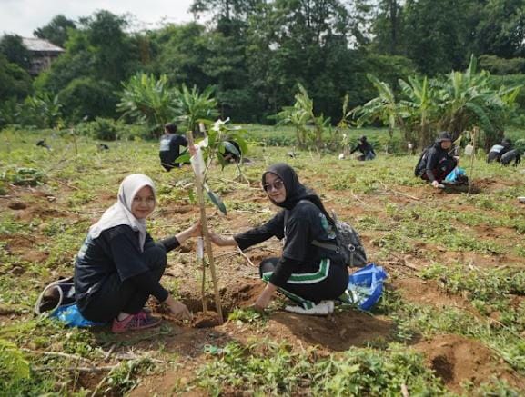 Jadi Kampus Darling, UMK tanam 200 bibit buah-buahan
