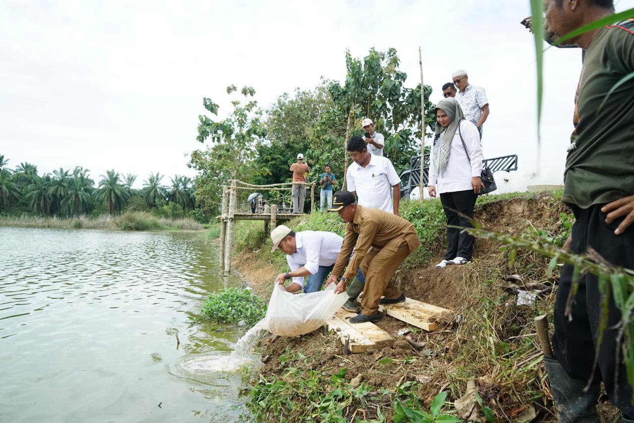 PT Perkebunan Nusantara 1 Regional 6 Cot Girek Aceh Utara tingkatkan ekonomi rakyat PT Perkebunan Nusantara 1 Regional 6 Cot Girek Aceh Utara tingkatkan ekonomi rakyat