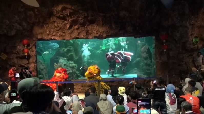 Ancol hadirkan barongsai dan dragon bawah air di perayaan Imlek Ancol hadirkan barongsai dan dragon bawah air di perayaan Imlek