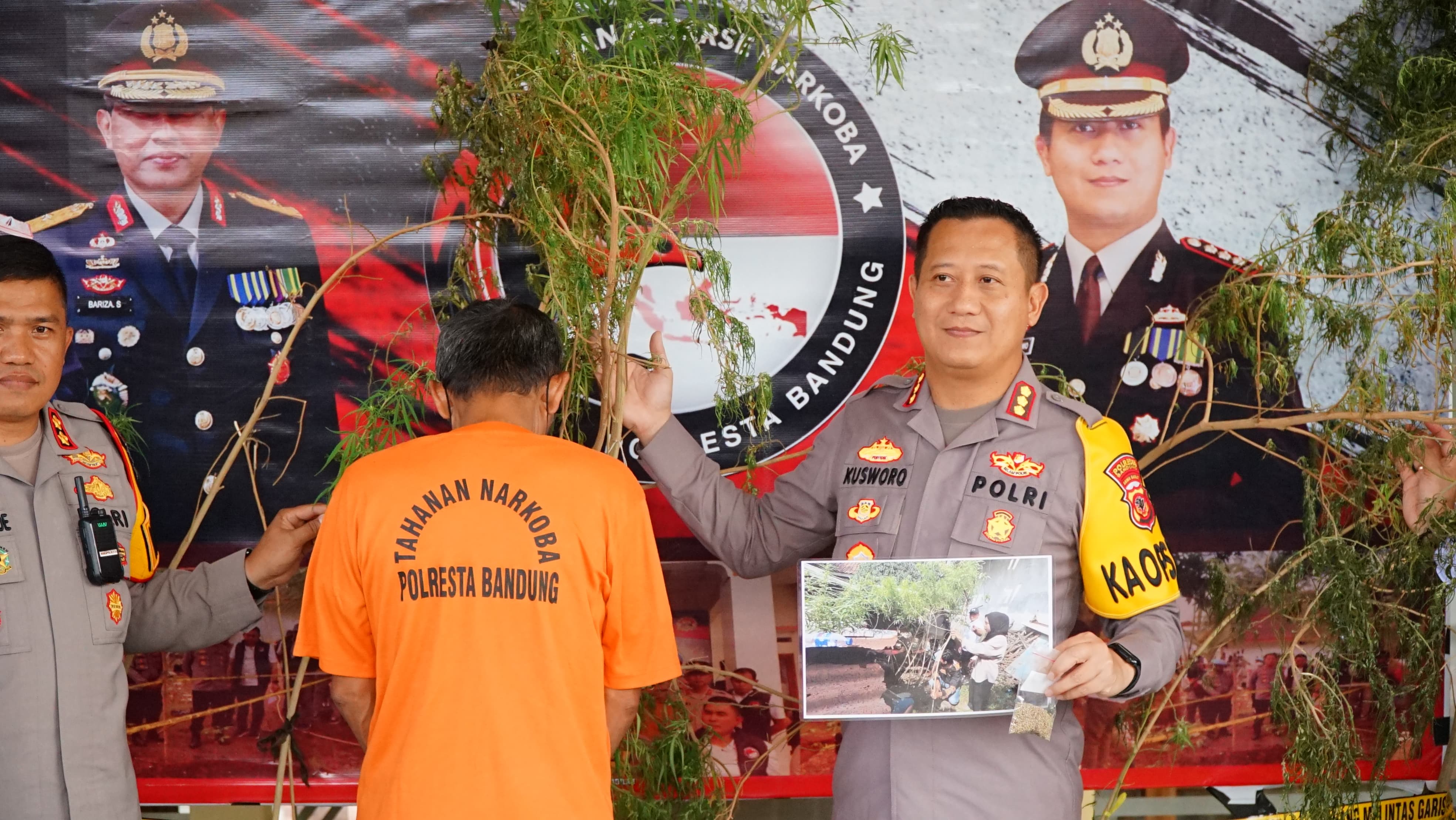Tanam ganja di rumah, warga Majalaya, Bandung ditangkap petugas