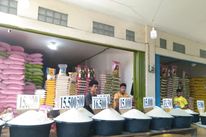 Kenaikan harga gabah picu kenaikan harga beras di NTT Kenaikan harga gabah picu kenaikan harga beras di NTT