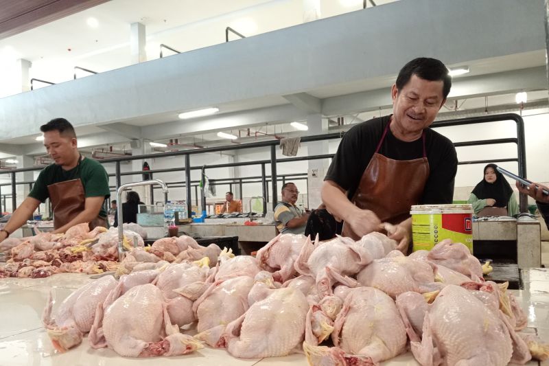 Harga daging ayam di Gorontalo mulai naik Harga daging ayam di Gorontalo mulai naik