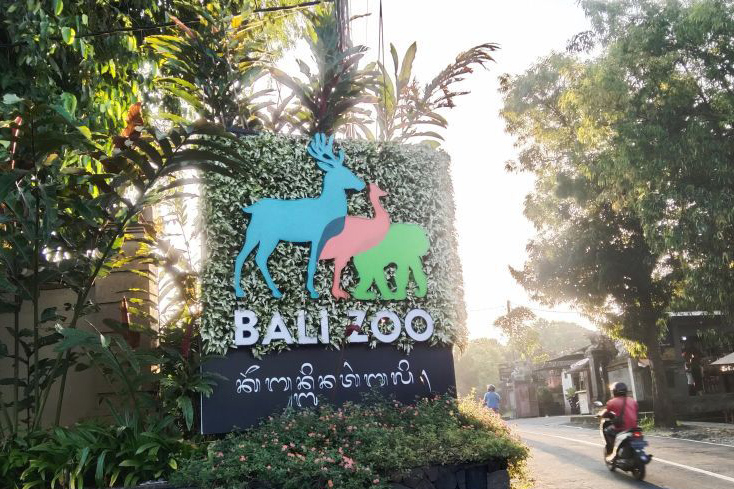 Kebun Binatang Bali catat kenaikan pengunjung 100 persen