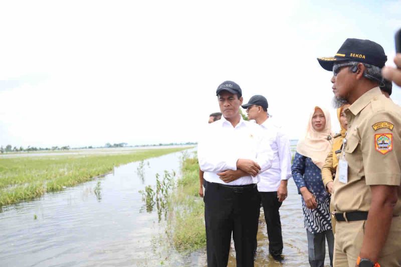 Mentan bantu sarana pertanian korban banjir di Jateng Rp30 miliar Mentan bantu sarana pertanian korban banjir di Jateng Rp30 miliar