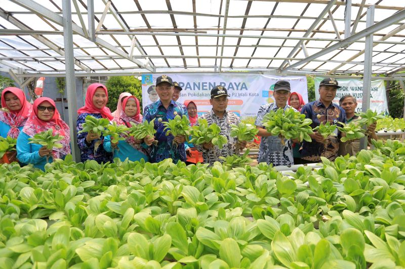 Pemkot Tangerang ajak warga tanam sayuran untuk tekan inflasi Pemkot Tangerang ajak warga tanam sayuran untuk tekan inflasi