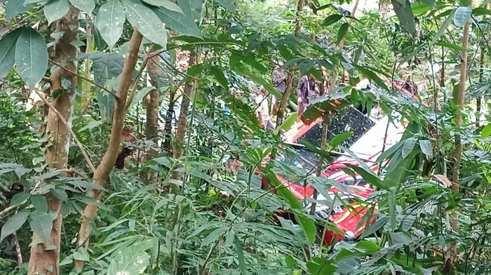 19 Februari 2023: Bus rombongan ziarah terjun ke jurang Gebang Purworejo