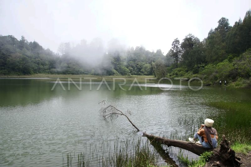 Balai Besar TNBTS tutup kawasan Ranu Regulo dari aktivitas wisata Balai Besar TNBTS tutup kawasan Ranu Regulo dari aktivitas wisata